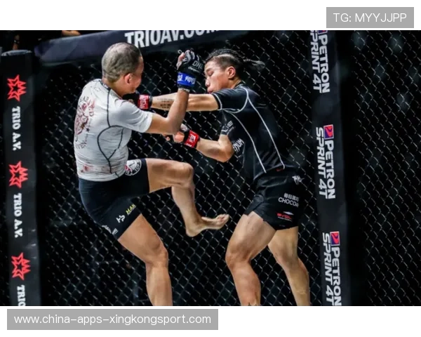 MMA节奏掌控与落点选择决定胜负